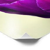 Impression Photo Tulipe pourpre (Coin)