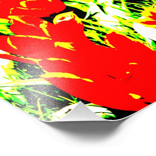 Impression Photo Tulipes (Coin)