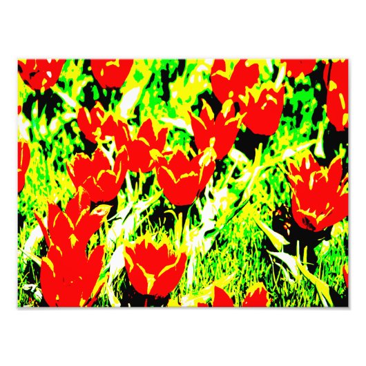 Impression Photo Tulipes (Devant)