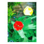 Impression Photo Tulipes (Devant)