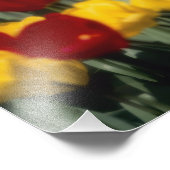 Impression Photo Tulipes 2 (Coin)