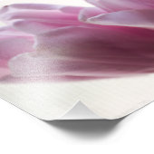 Impression Photo Tulipes 3258 (Coin)