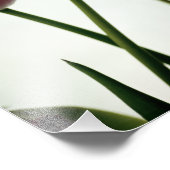 Impression Photo Tulipes 3259 (Coin)