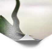 Impression Photo Tulipes 3265 (Coin)