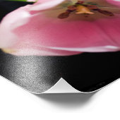 Impression Photo Tulipes 3272 (Coin)