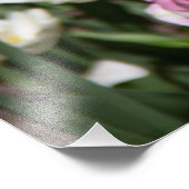 Impression Photo Tulipes blanches et roses brillantes par jour enso (Coin)