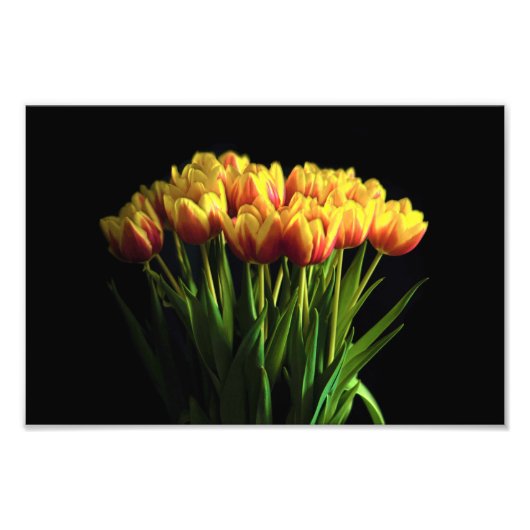 Impression Photo Tulipes dans le vase de fleurs (Devant)