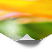 Impression Photo Tulipes Enchanter 14 (Coin)