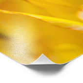 Impression Photo Tulipes Enchanting 16 (Coin)