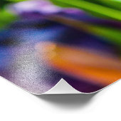 Impression Photo Tulipes Envoûtantes 17 (Coin)