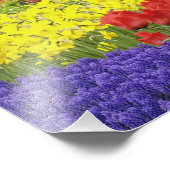 Impression Photo Tulipes, Hyacinthe du raisin et Daffodiles, 2 (Coin)