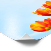 Impression Photo Tulipes orange et rouge du dessous (Coin)