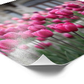 Impression Photo Tulipes roses - Montréal (Imprimer) (Coin)