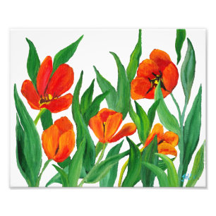 Impression Photo Tulipes rouges