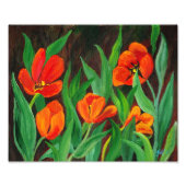 Impression Photo Tulipes rouges (Devant)