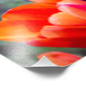 Impression Photo Tulipes violettes foncées (Coin)