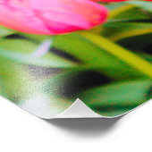 IMPRESSION PHOTO TULIPS DE PRINTEMPS (Coin)