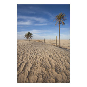 Impression Photo Tunisie, désert du Sahara, Douz, Grande Dune, aub