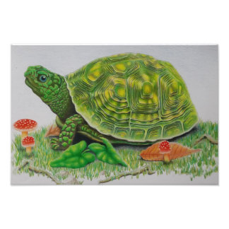 Impression Photo "Turtle Love" Affiche originale de Baylen Parada (