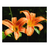 Impression Photo Two Flowers (Devant)