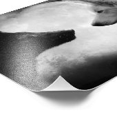 Impression Photo Two wolves facing each other (Coin)