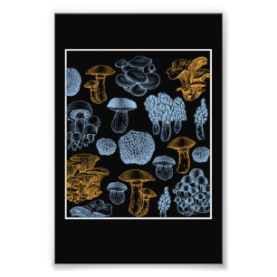 Impression Photo Types De Champignons Champignons Recueillant Les C