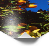 Impression Photo UE, Grèce. Église orthodoxe grecque (Coin)