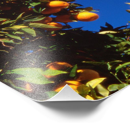 Impression Photo UE, Grèce. Église orthodoxe grecque (Coin)