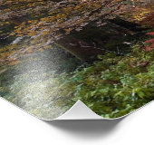 Impression Photo UK. Forêt de Dean. Faisceau de soleil pénétrant un (Coin)