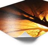 Impression Photo Un Arbre Nu Au Coucher Du Soleil (Coin)