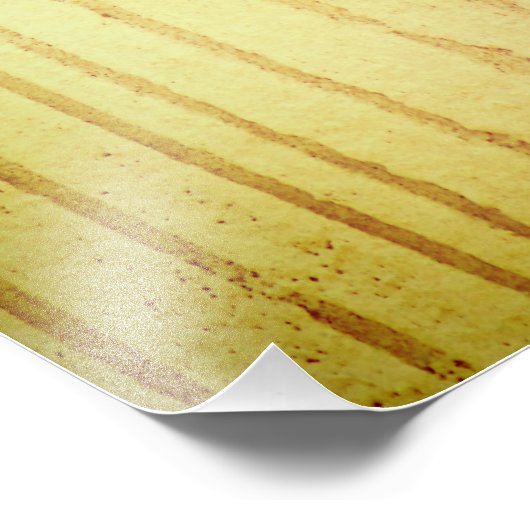 Impression Photo Un Bruant de Wee (Coin)