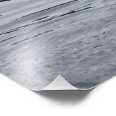 Impression Photo Un canard colvert battant des ailes. (Coin)