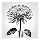 Impression Photo Un chrysanthème intemporel (Devant)