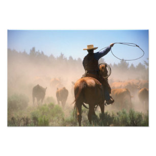 Impression Photo Un cow-boy travaillant le troupeau dans un élevage