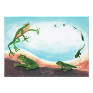 Impression Photo Un cycle de vie étonnant d'une grenouille