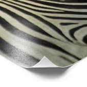 IMPRESSION PHOTO UN DANGER DE ZEBRAS (Coin)