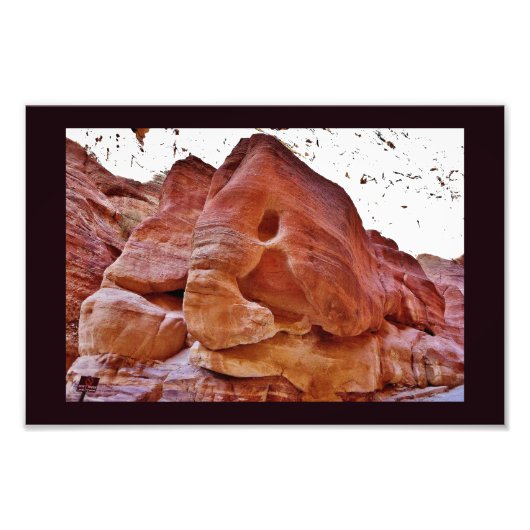 Impression Photo Un éléphant à Petra (Devant)