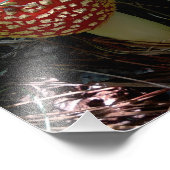 Impression Photo Un escargot à la découverte d'un champignon d'Aman (Coin)