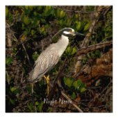 Impression Photo Un héros de nuit. (Devant)