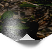 Impression Photo Un héros de nuit. (Coin)