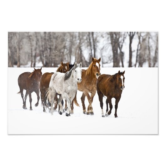 Impression Photo Un hiver pittoresque de course (Devant)