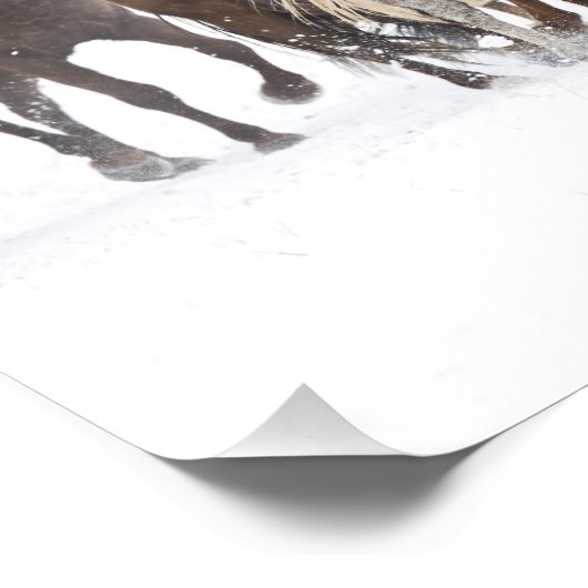 Impression Photo Un hiver pittoresque de course (Coin)