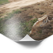 Impression Photo Un Humvee assure la sécurité (Coin)