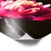 Impression Photo Un Jour À La Fleur De Citation Inspirationnelle 8x (Coin)