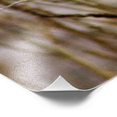 Impression Photo "Un messager d'espoir" (Coin)