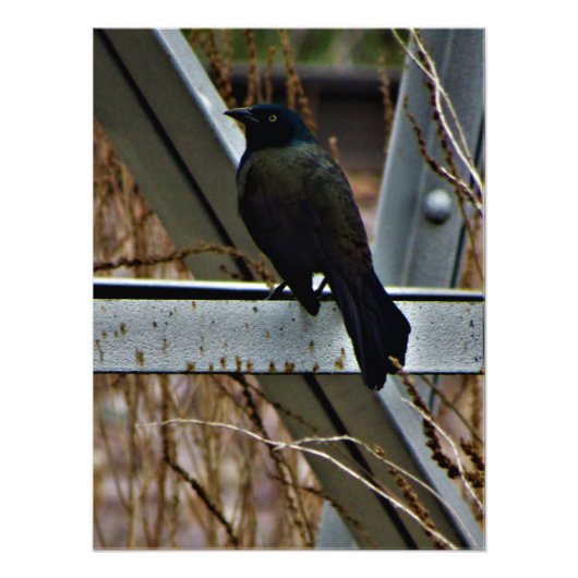 Impression Photo "Un messager d'espoir" (Devant)