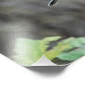 Impression Photo Un oiseau à la main (Coin)