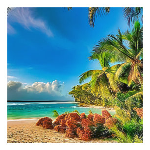 Impression Photo Un paradis tropical.