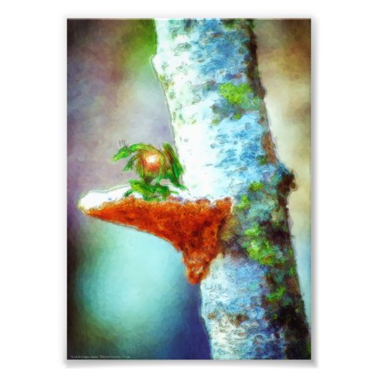 Impression Photo Un Petit Dragon Dort (Devant)