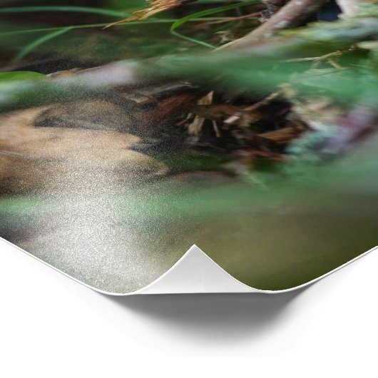 Impression Photo Un petit garçon qui est au feu de camp. (Coin)